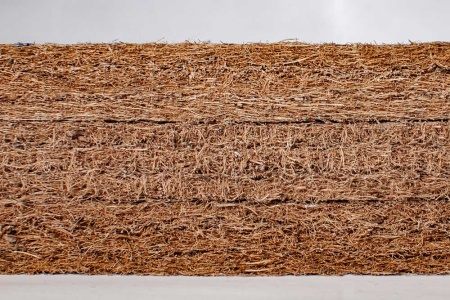 Матрас Dreamline Orto-9 70х186х10