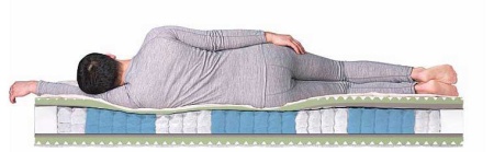 Матрас Dreamline Ergo Smart Zone 80х160х21