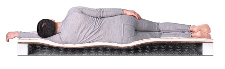 Матрас Dreamline Eco Foam Hard BS-120 190х210х20